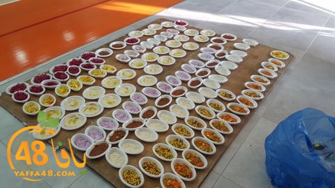 3asha2 jsaolnar (30).jpg